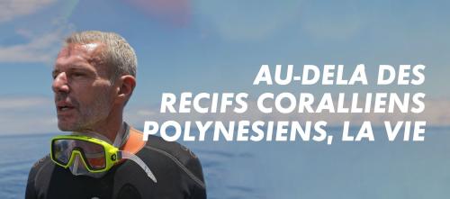 Au-delà des récifs coralliens polynésiens, la vie