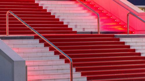 Indémodable n° 2 : Les dessous du tapis rouge