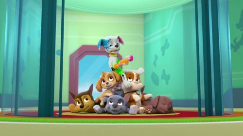 Paw Patrol, la Pat'Patrouille