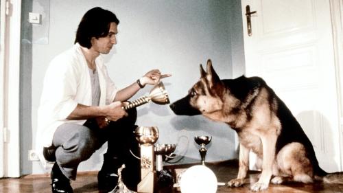 Rex, chien flic