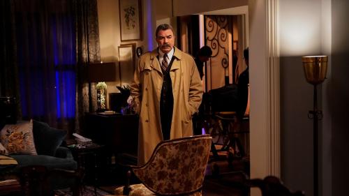 Blue Bloods