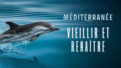 Méditerranée, l'odyssée pour la vie