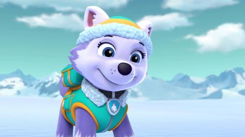 Paw Patrol, la Pat'Patrouille