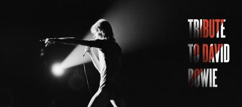 Tribute to David Bowie