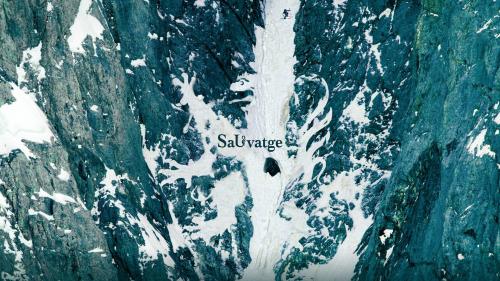 Sauvatge