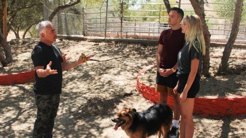 Cesar Millan : Tel maître, tel chien