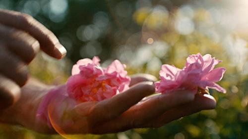 Inside the Dream - Les secrets de création d'un grand parfum