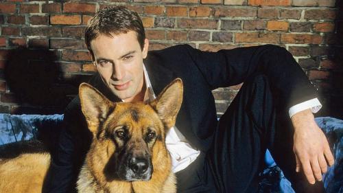 Rex, chien flic