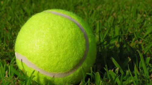 Tennis : Wimbledon