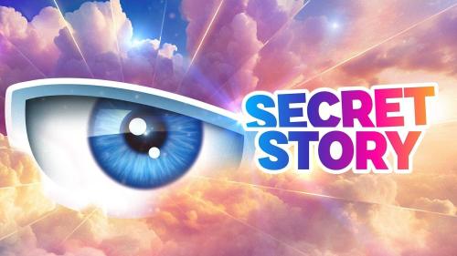 Secret Story, la quotidienne - Saison 13
