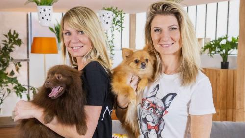 Animaux à adopter : nouvelle famille pour une nouvelle vie