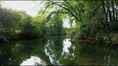 La Seine à la nage