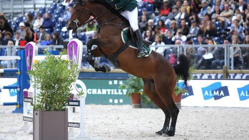 Equitation : Global Champions Tour
