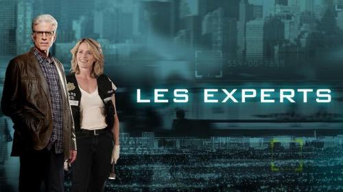 Les experts
