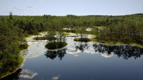 Des mains vertes pour la nature