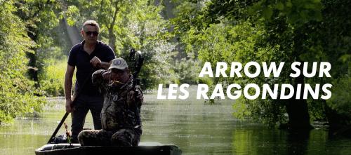 Arrow sur les ragondins