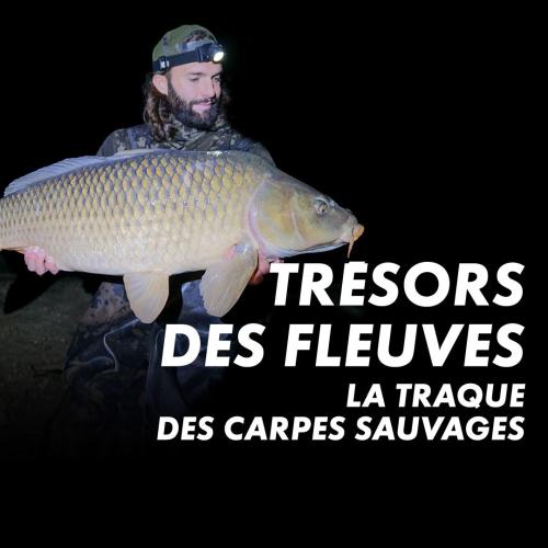Trésors des fleuves, la traque des carpes sauvages