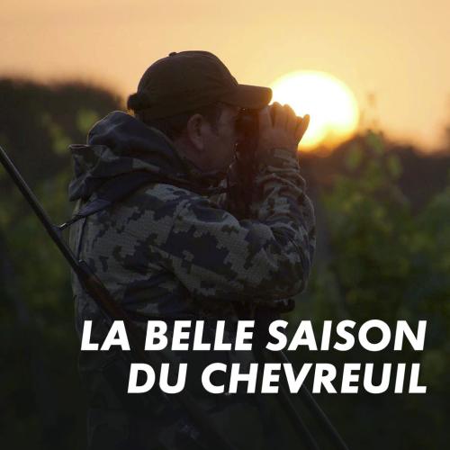 La belle saison du chevreuil