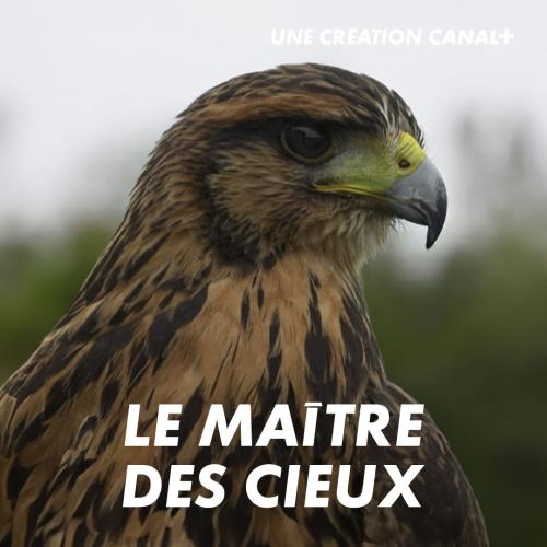Le Maître des cieux