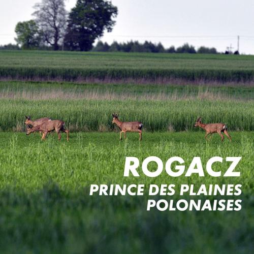 Rogacz, prince des plaines polonaises