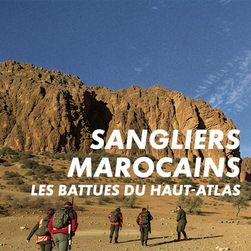 Sangliers marocains, les battues du Haut-Atlas