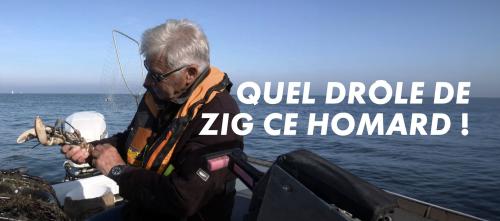 Quel drôle de zig ce homard !