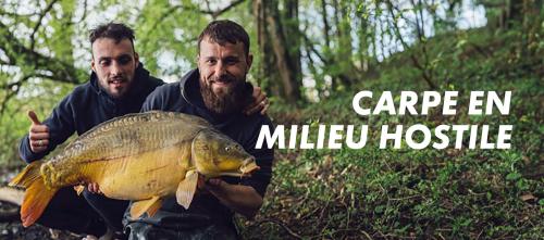 Carpe en milieu hostile