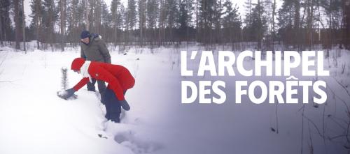 L'Archipel des forêts