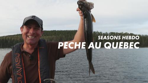 Seasons hebdo