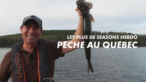 Les plus de Seasons hebdo