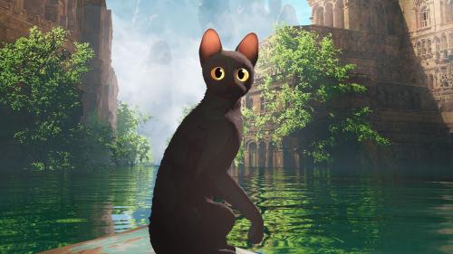 Flow, le chat qui n'avait plus peur de l'eau